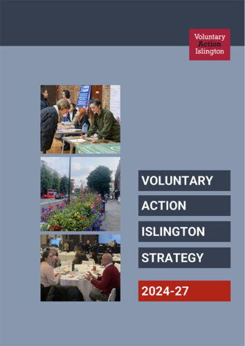 VAI Strategy 2024-27 document cover